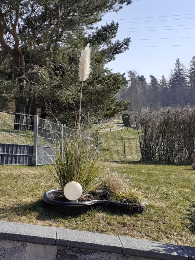 Am Wald Apartment Catterfeld